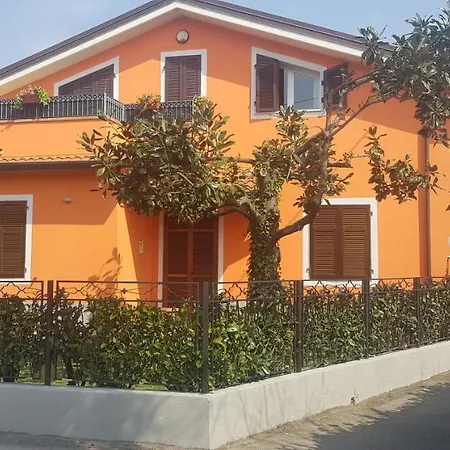 New Life * Carrara