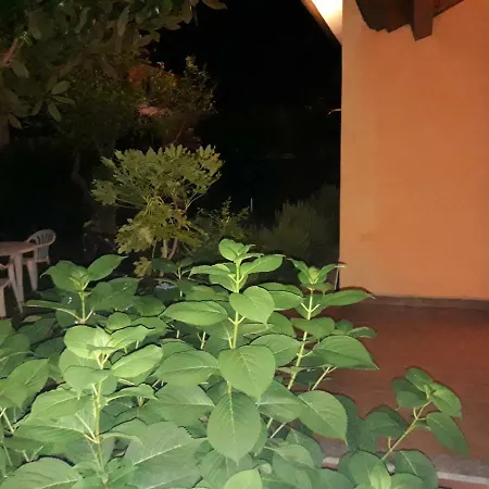 New Life *